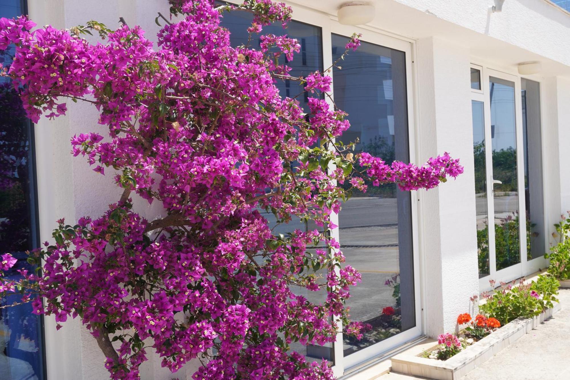 Hotel Agel Саранде Екстериор снимка